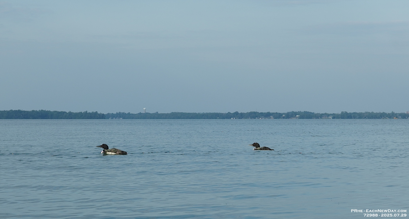 72989RoCrUsmNr - Kayaking on Lake Couchiching from Centenial Park